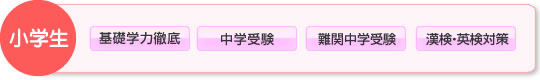 小学生「基礎学力徹底」「中学受験」「難関中学受験」「漢検・英検対策」